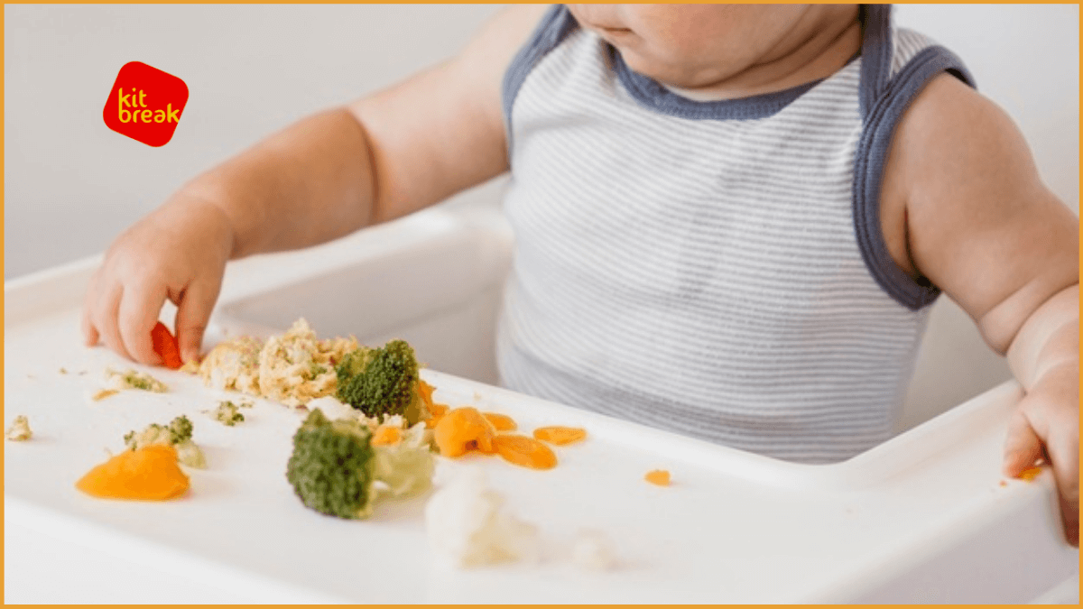 BLW Método de Introdução Alimentar o Seu Bebê à Mesa
