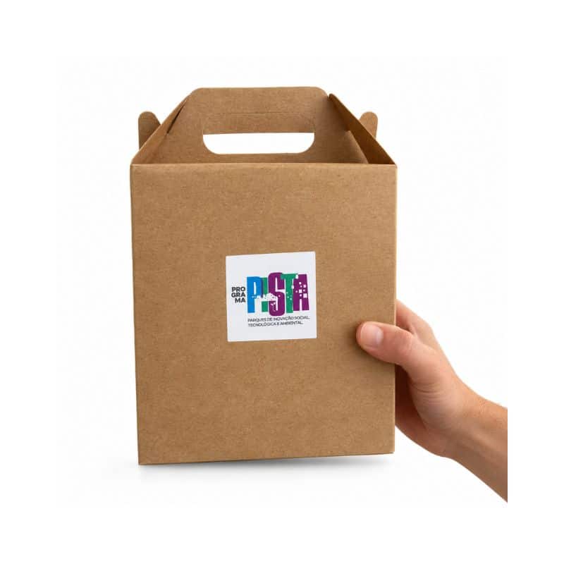 Kit Lanche temático em caixa de papelão com alça e adesivo do Programa PISTA, com a identidade visual do projeto em cada kit, no Rio de Janeiro