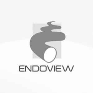 Logomarca da Endoview, instituição atendida pela Kit Break com Kit Lanche para desjejum no Rio de Janeiro